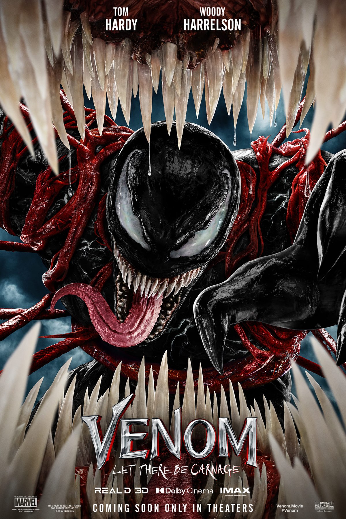 photo: poster venom 2